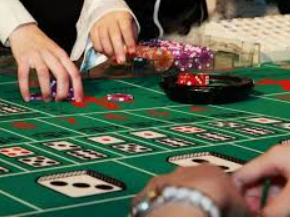 彩神vll购彩2024最新版